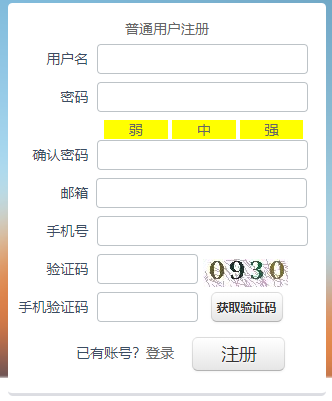 網(wǎng)站如何進(jìn)行公安備案 公安部備案全教程