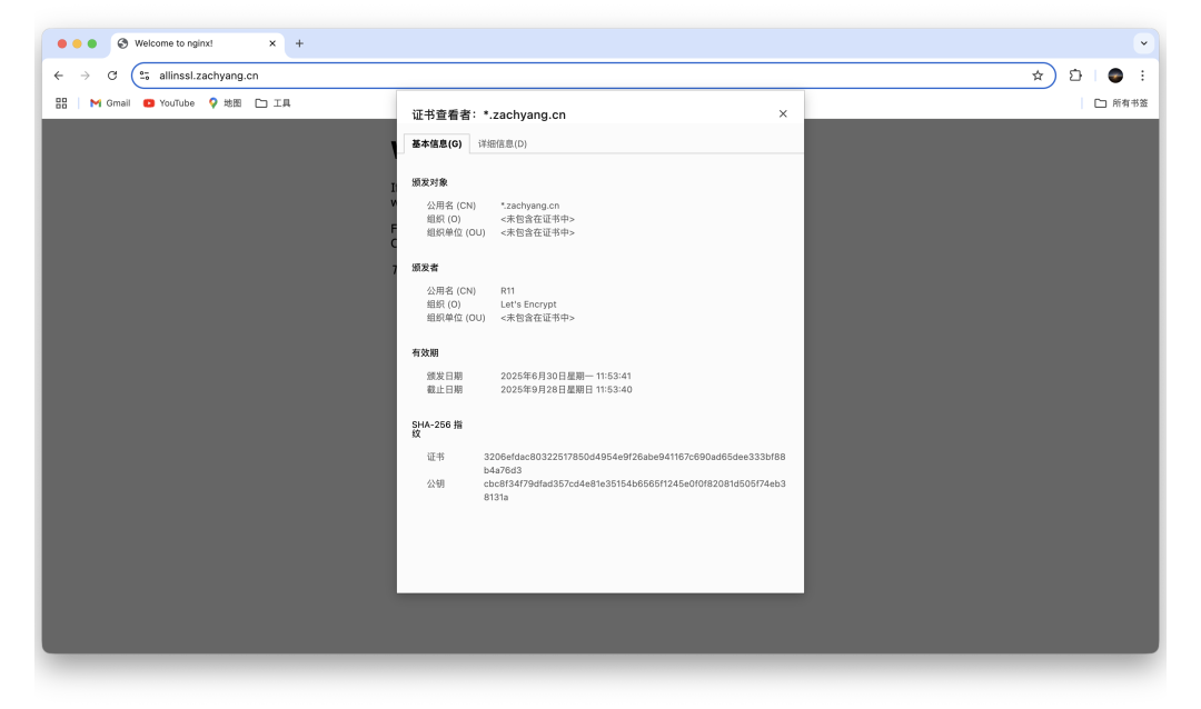 免費開源:自動續(xù)簽SSL證書管理平臺插圖16 免費開源:自動續(xù)簽SSL證書管理平臺插圖16